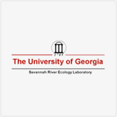 ジョージア大学